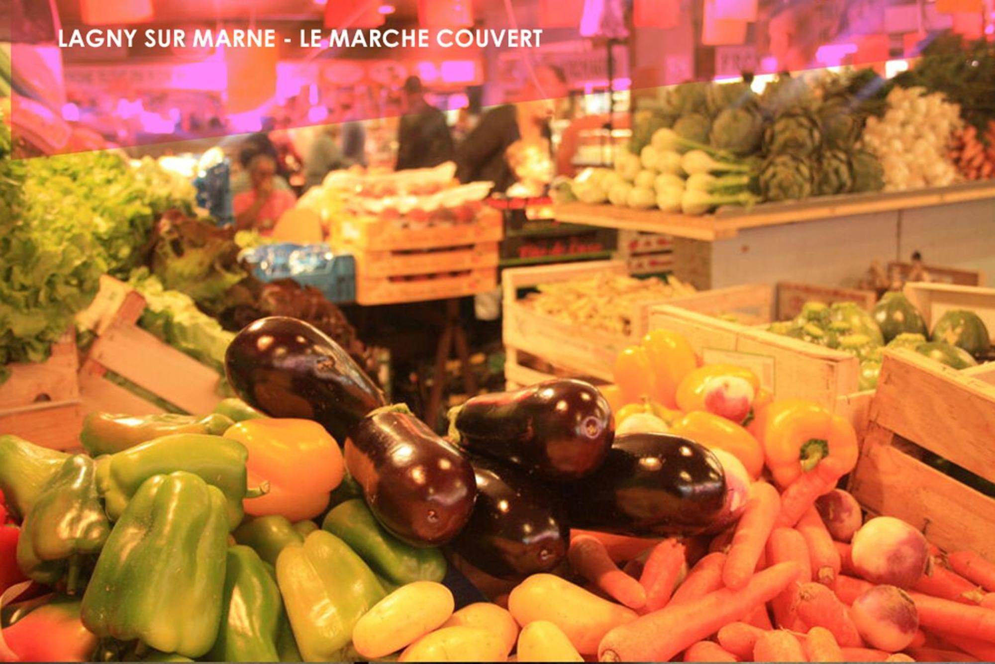 Le Traditionnel - Maison Avec Jardin & Parking - Ideal Disneyland & Paris